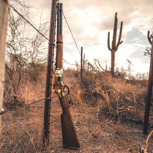 1866 CO2 .177 - Gold