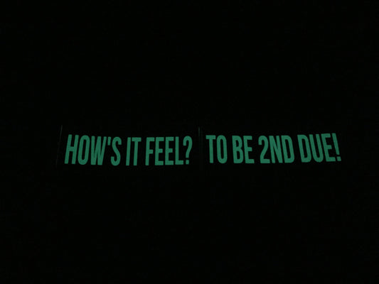 HOW'S IT FEEL? TO BE 2ND DUE! REFLECTIVE GLOW IN THE DARK HELMET DECAL