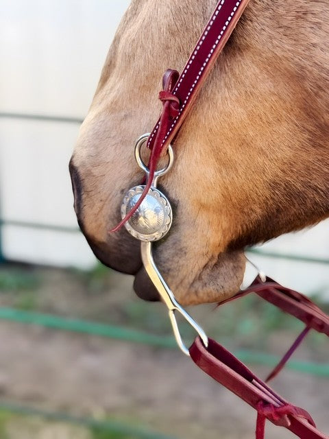 Latigo Leather Headstall - 5/8"
