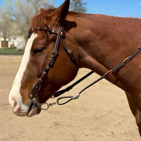 Dark Oil Futurity Headstall with Rawhide Overlay