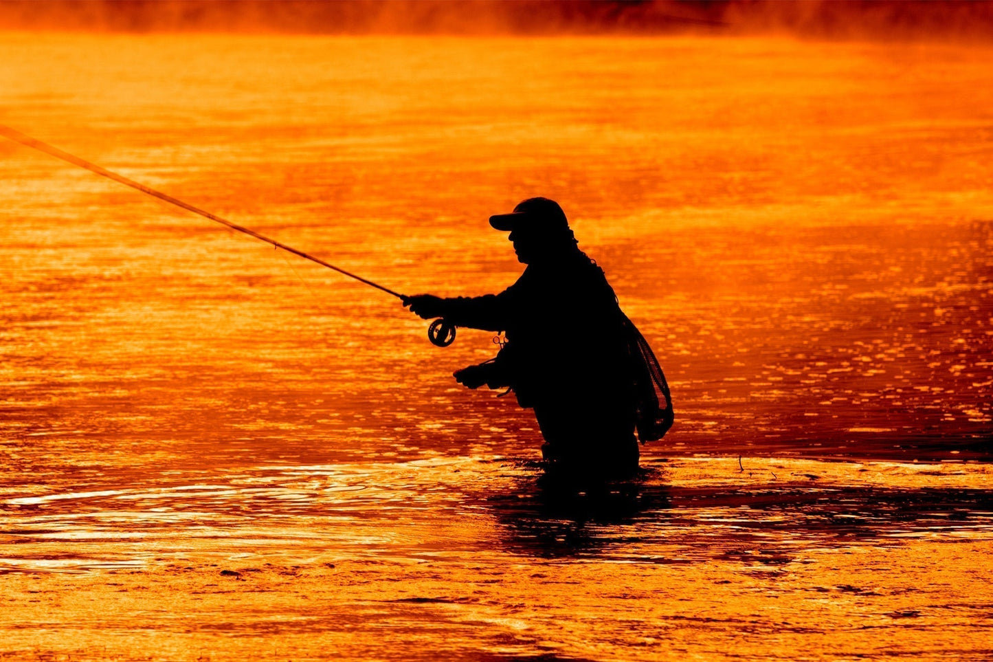 Pink Beaded Shrimp Scud Pattern - 1 Dozen Size 12 - Tailwater Lake Fly Fishing Nymph