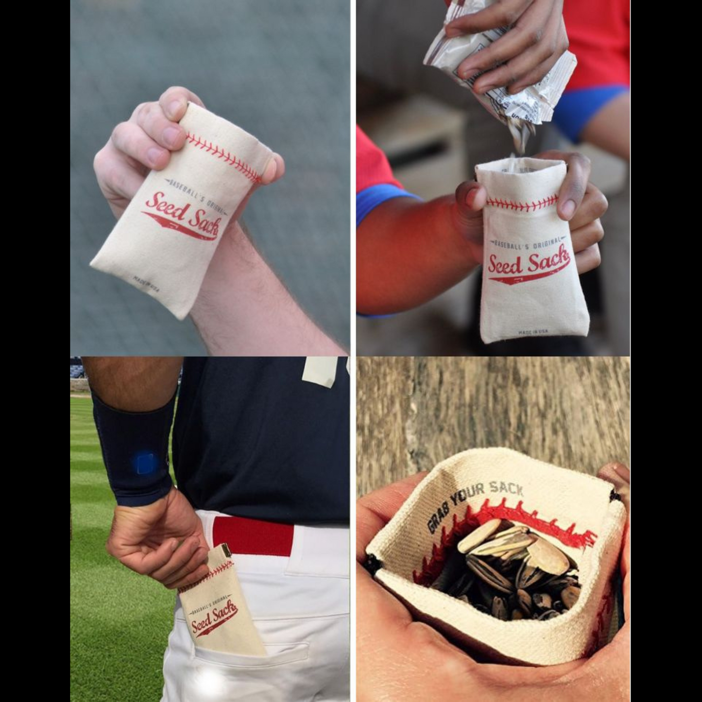 Baseball is Life