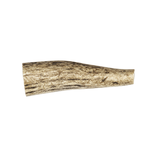 Antler Chew Dog Treat