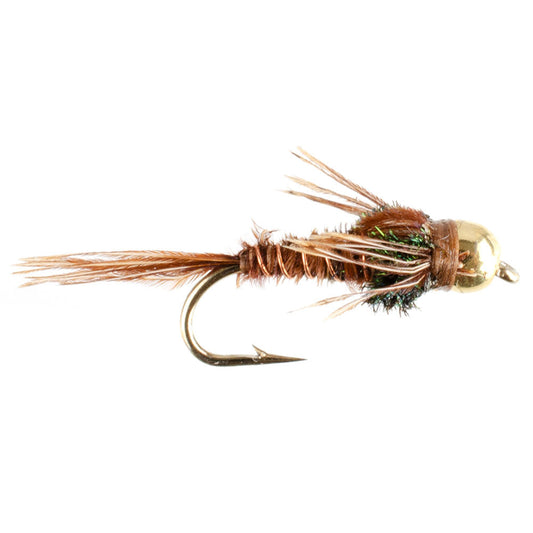 Bead Head Pheasant Tail Nymph 1 Dozen Fly Fishing Flies Size 10