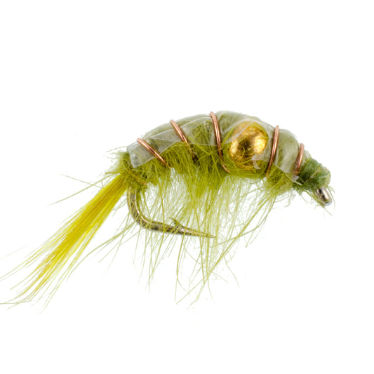 Olive Beaded Shrimp Scud Pattern - 6 Flies - Size 12 - Tailwater Lake Fly Fishing Nymph
