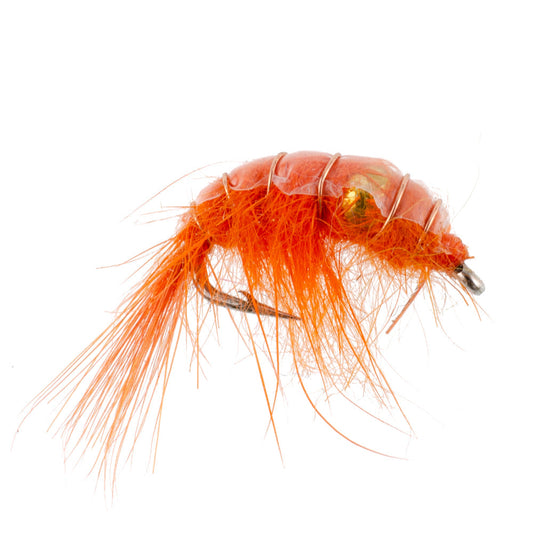 3 Pack Orange Beaded Shrimp Scud Pattern - Size 12 - Tailwater Lake Fly Fishing Nymph
