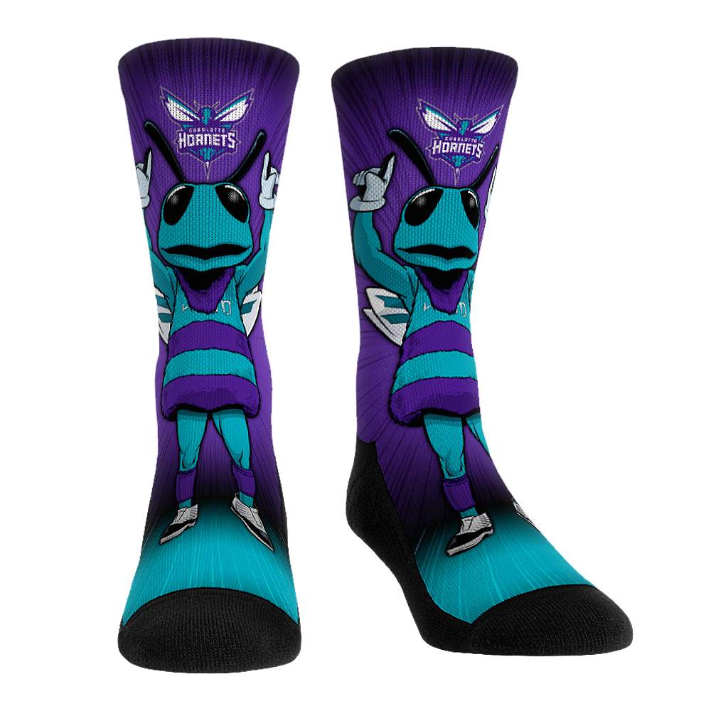 Charlotte Hornets - Mascot Pump Up!
