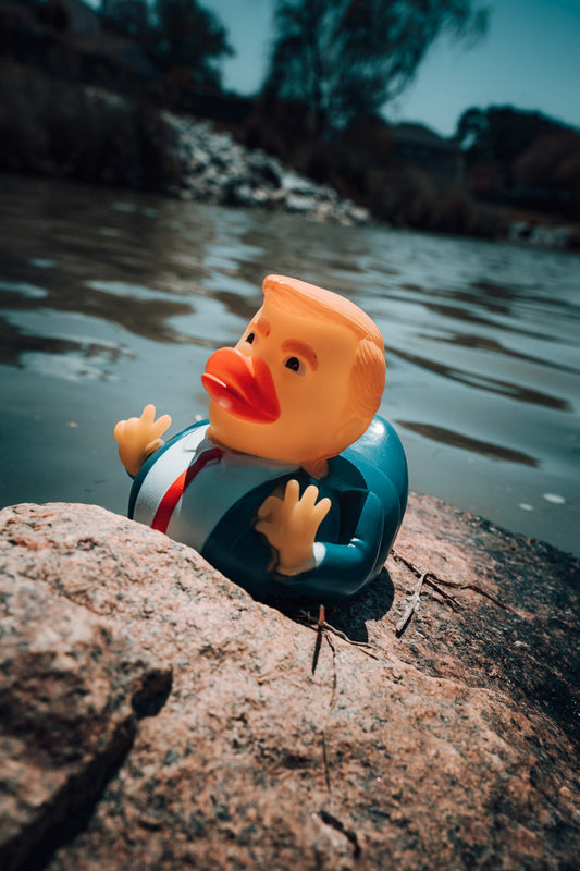 The "DONALD" Duck🇺🇸🇺🇸🇺🇸
