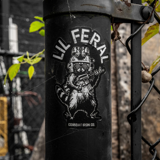 Lil Feral Racoon Decal