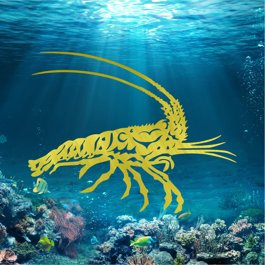 Florida Lobster