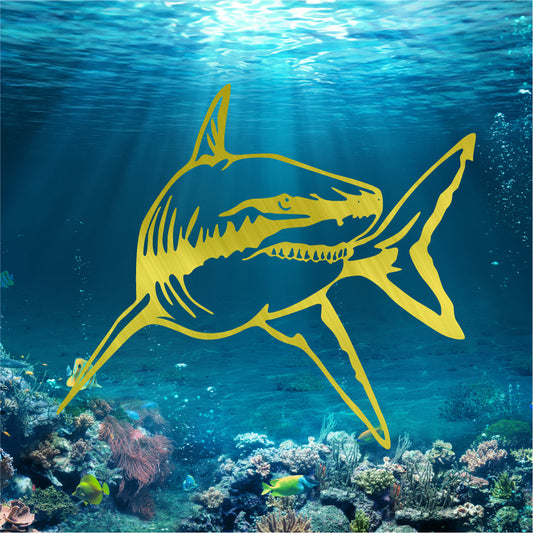 Great White Shark