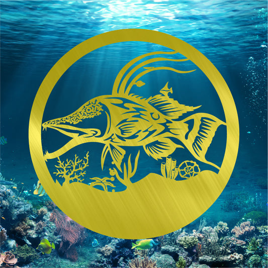 Hogfish Scene