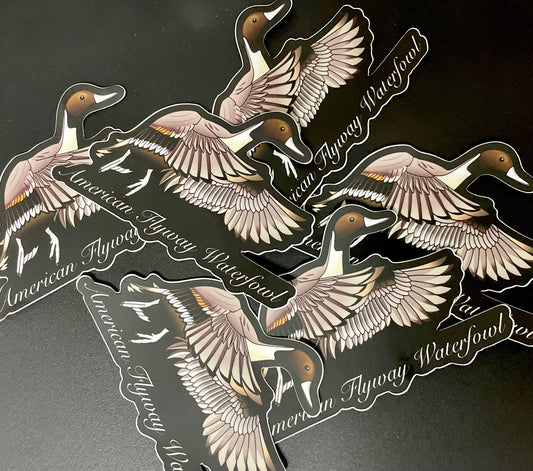 PINTAIL STICKER