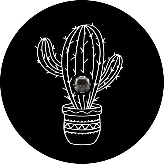 Cactus in a Pot