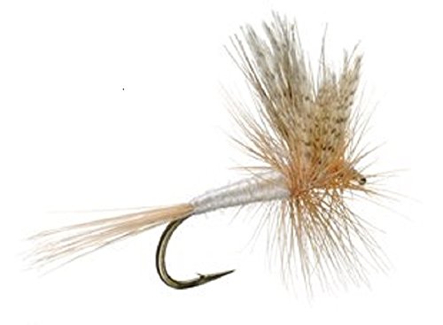 Light Cahill Classic Trout Dry Fly Fishing Flies - 6 Flies Size 12