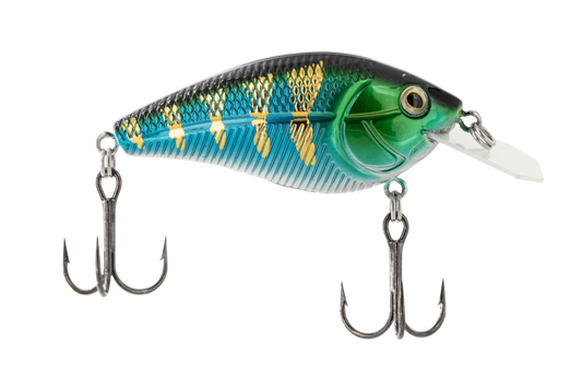 Primetyme CB 1.5