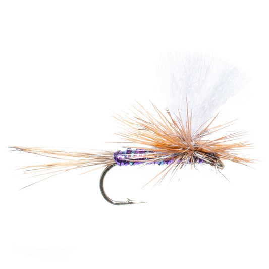 Parachute Super Flash Purple Haze Dry Fly - 6 Flies Size 18