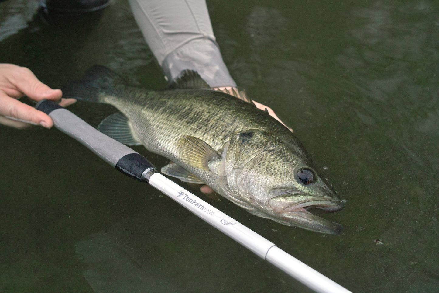 HANE™ 10ft10in (330cm)