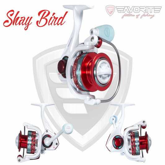 Shay Bird Spinning Reel