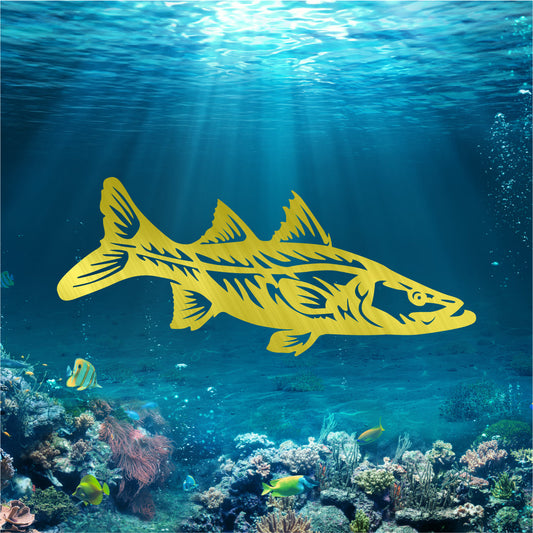 Snook