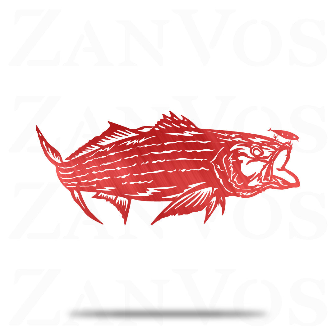 Striped Bass