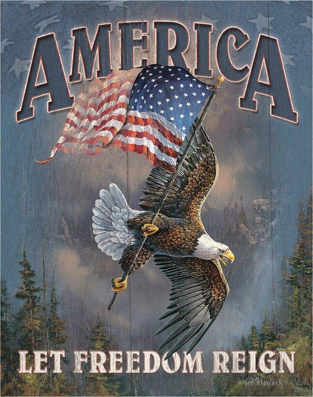 America - Let Freedom Reign Tin Sign