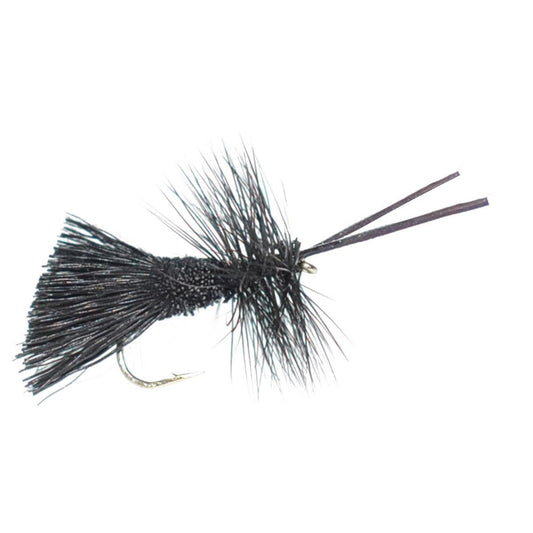 Goddard Caddis Black Dry Fly - 12 Flies Hook Size 16