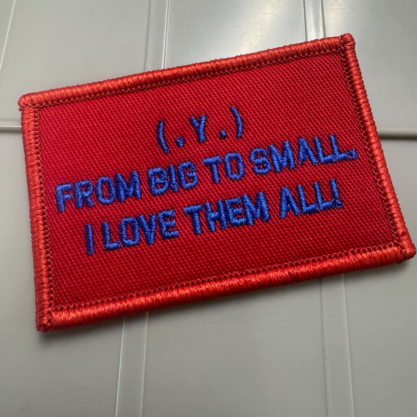 As Seen on Socials - (.Y.) - From Big To Small, I Love Them All - 2x3 Patch - Red w/Blue