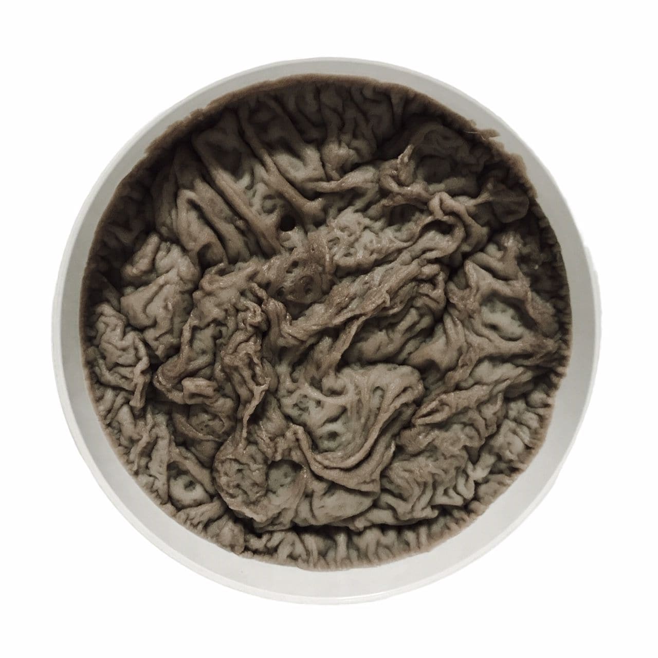 Slainte: St. James Shaving Soap - by Murphy and McNeil