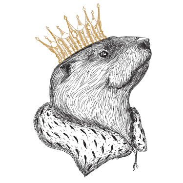 Noble Otter