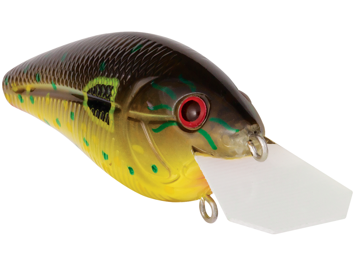 Primetyme CB 1.5