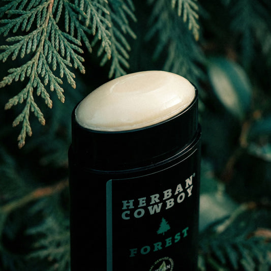 Forest Stick Deodorant