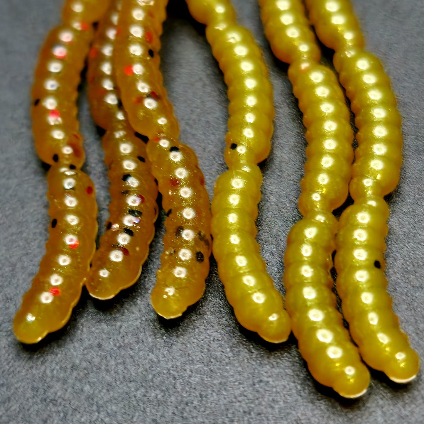 0.5" Inch Maggot Larvae "The Apple Maggot"