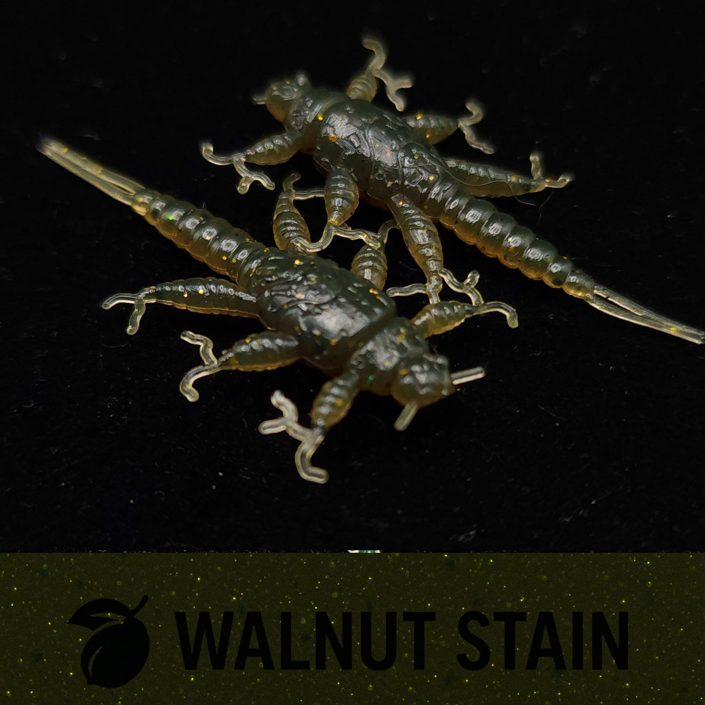 Jar of 1.5" Inch Stonefly Larvae "The Morelkin"