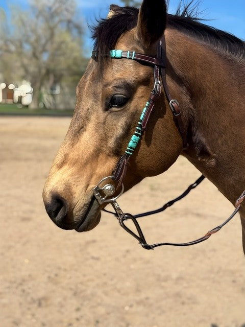 Turquoise Rawhide Dark Leather Browband Headstall
