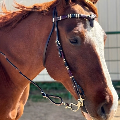 Dark Oil Futurity Headstall with Rawhide Overlay