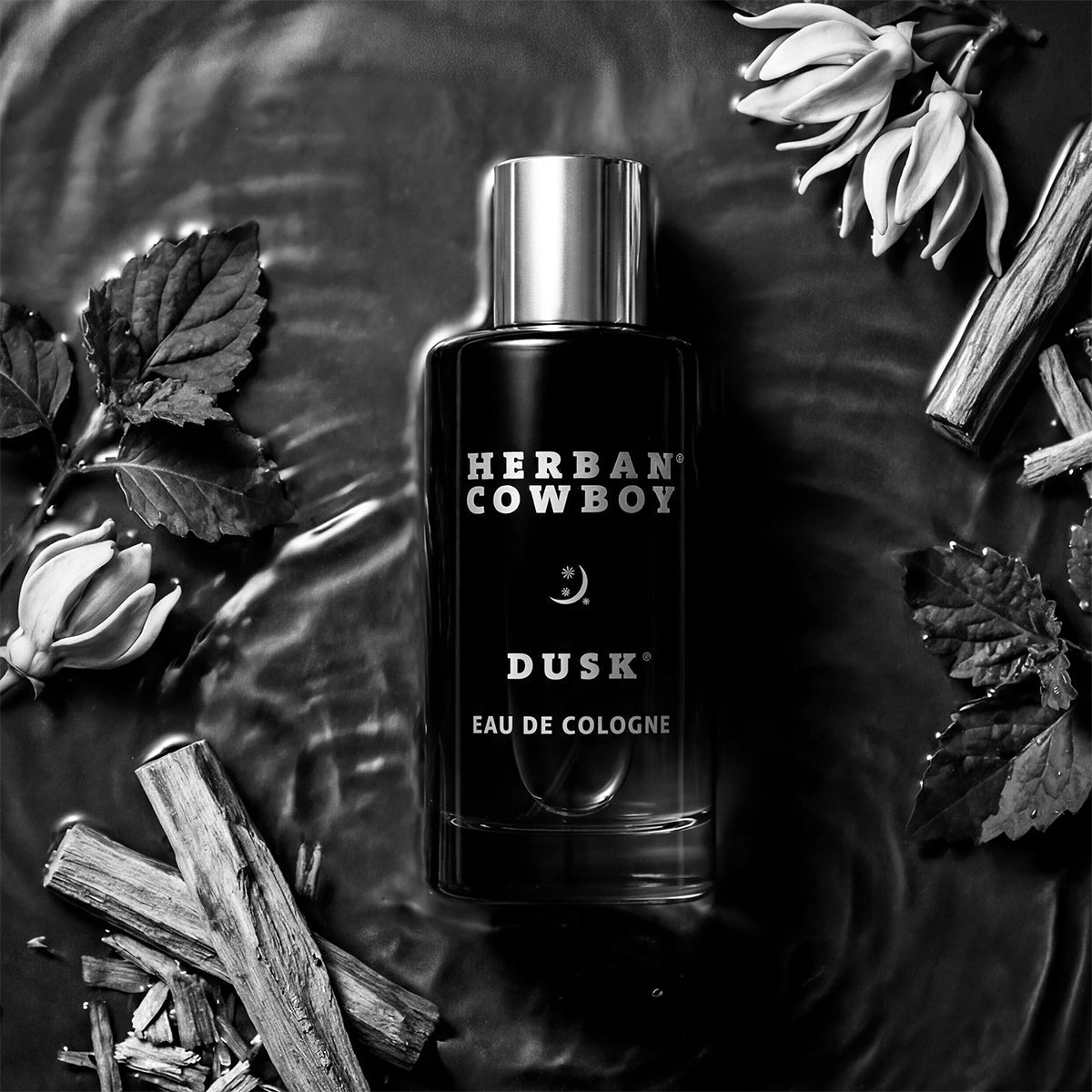 Dusk Cologne