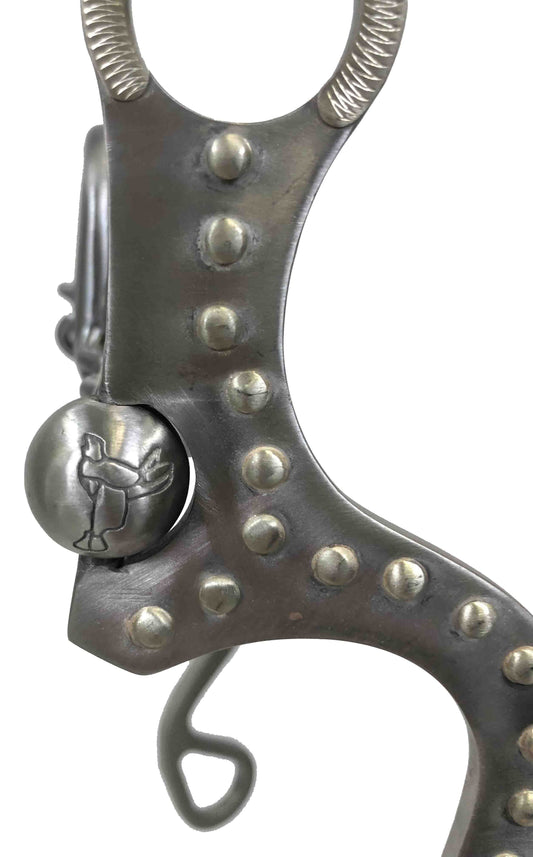 Pro Series 8" Stainless Steel Bit with 5 1/2" Chain Port Mouth