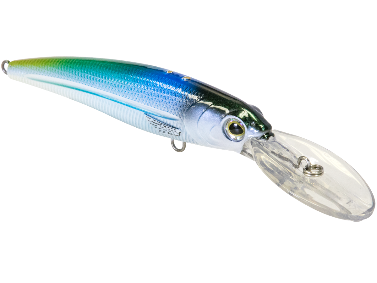 Voyager