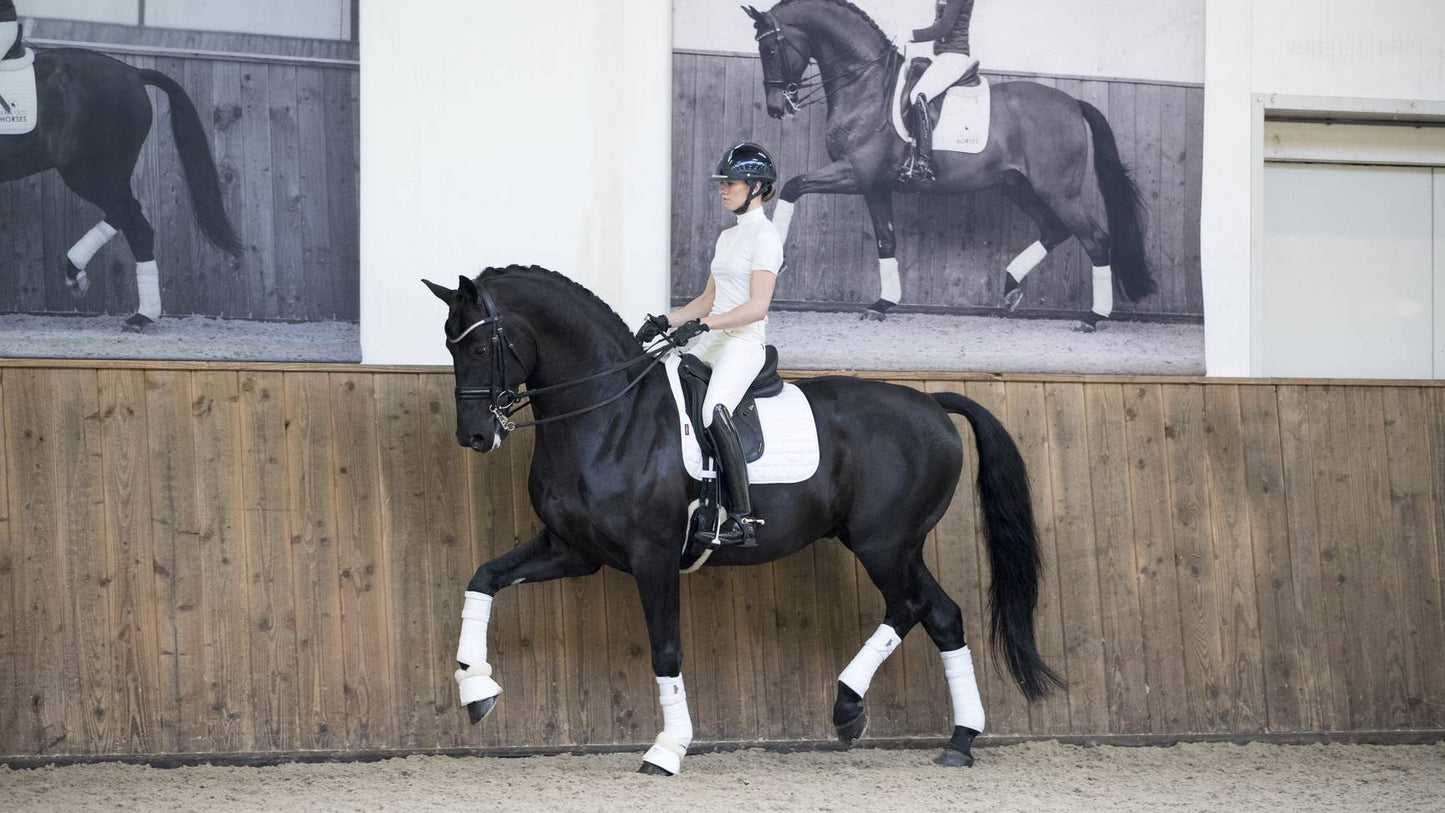LeMieux Loire Classic Dressage Square