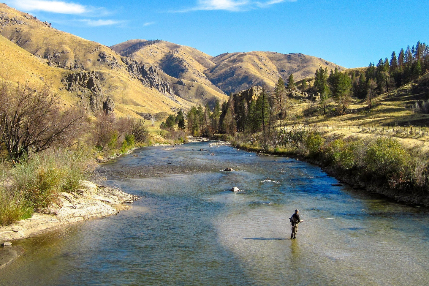 Tungsten Bead Head Nicks Prince Special Nymph Fly Fishing Flies - Set of 6 Flies Hook Size 12