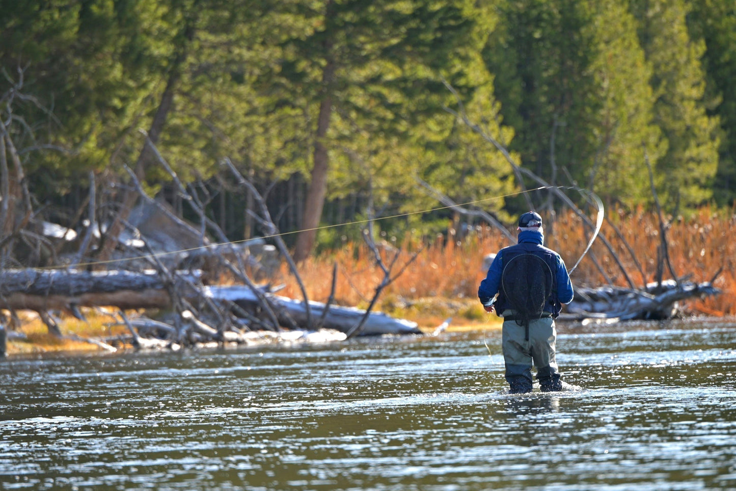 3 Pack Tungsten Bead Hot Spot Purple Perdigon Tactical Jig Spanish Czech Euro Nymph Fly - Hook  Size 16