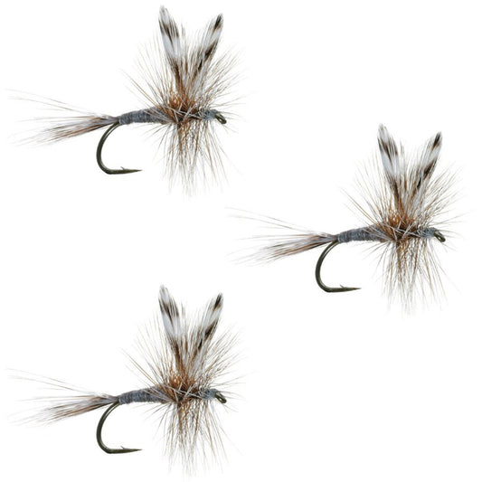 3 Pack Barbless Adams Classic Dry Fly - Hook Size 12