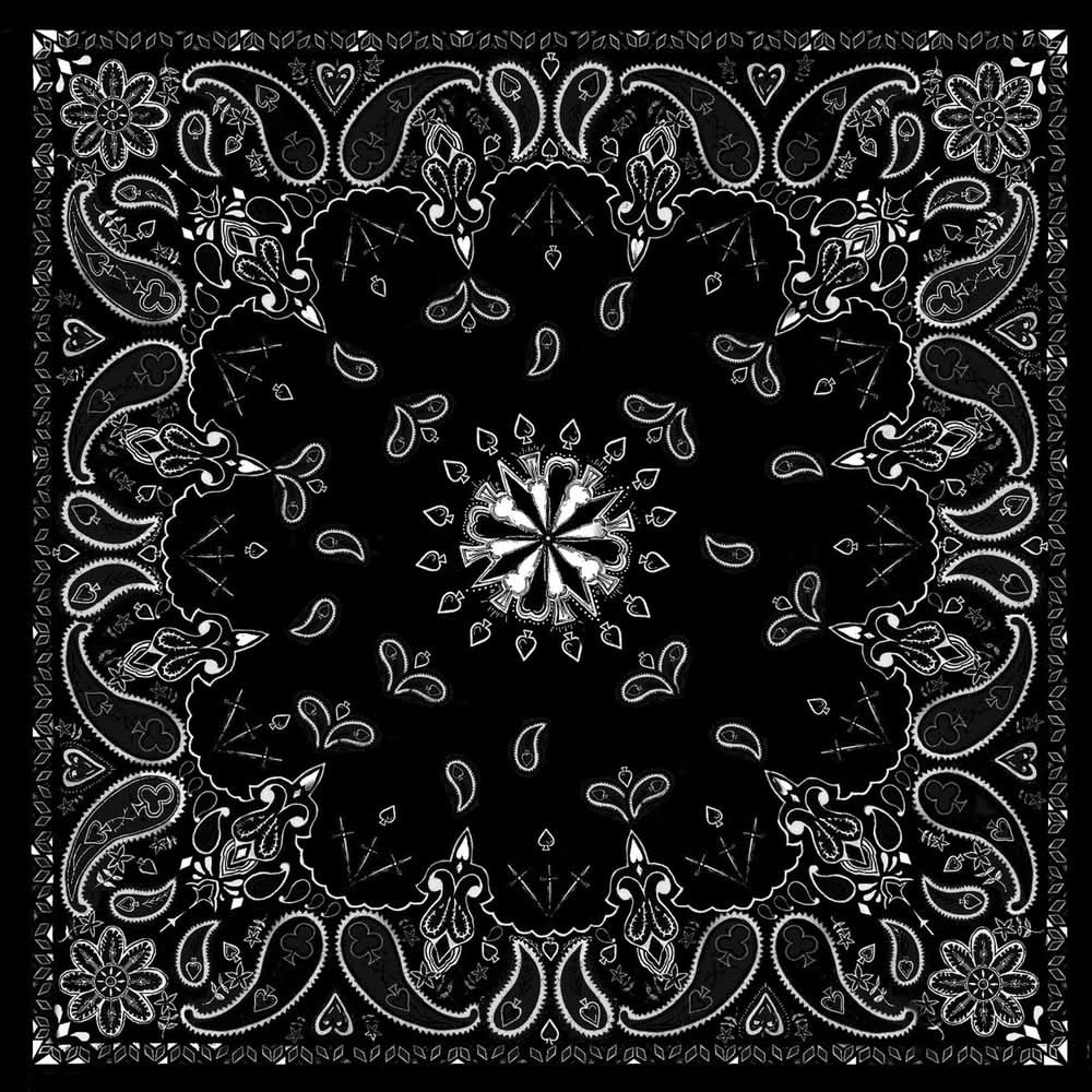 B001 Bandanna Black Paisley