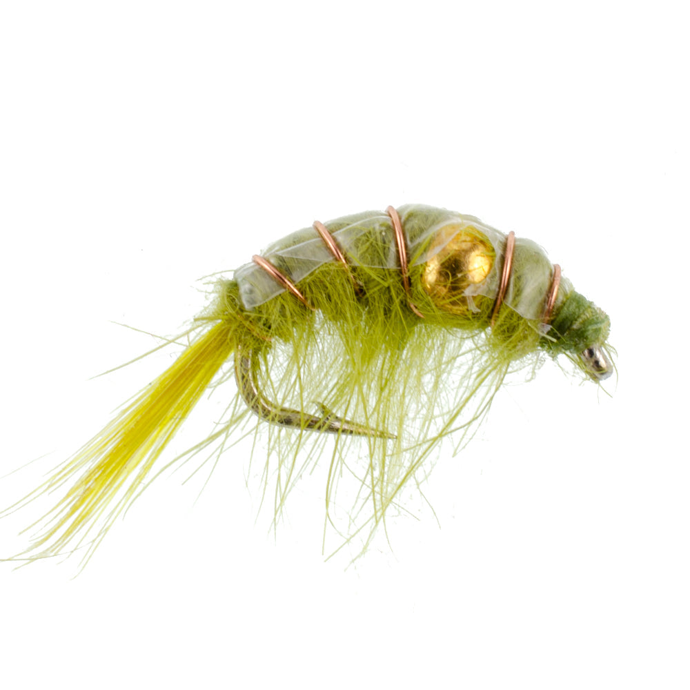 Olive Beaded Shrimp Scud Pattern - 6 Flies - Size 12 - Tailwater Lake Fly Fishing Nymph