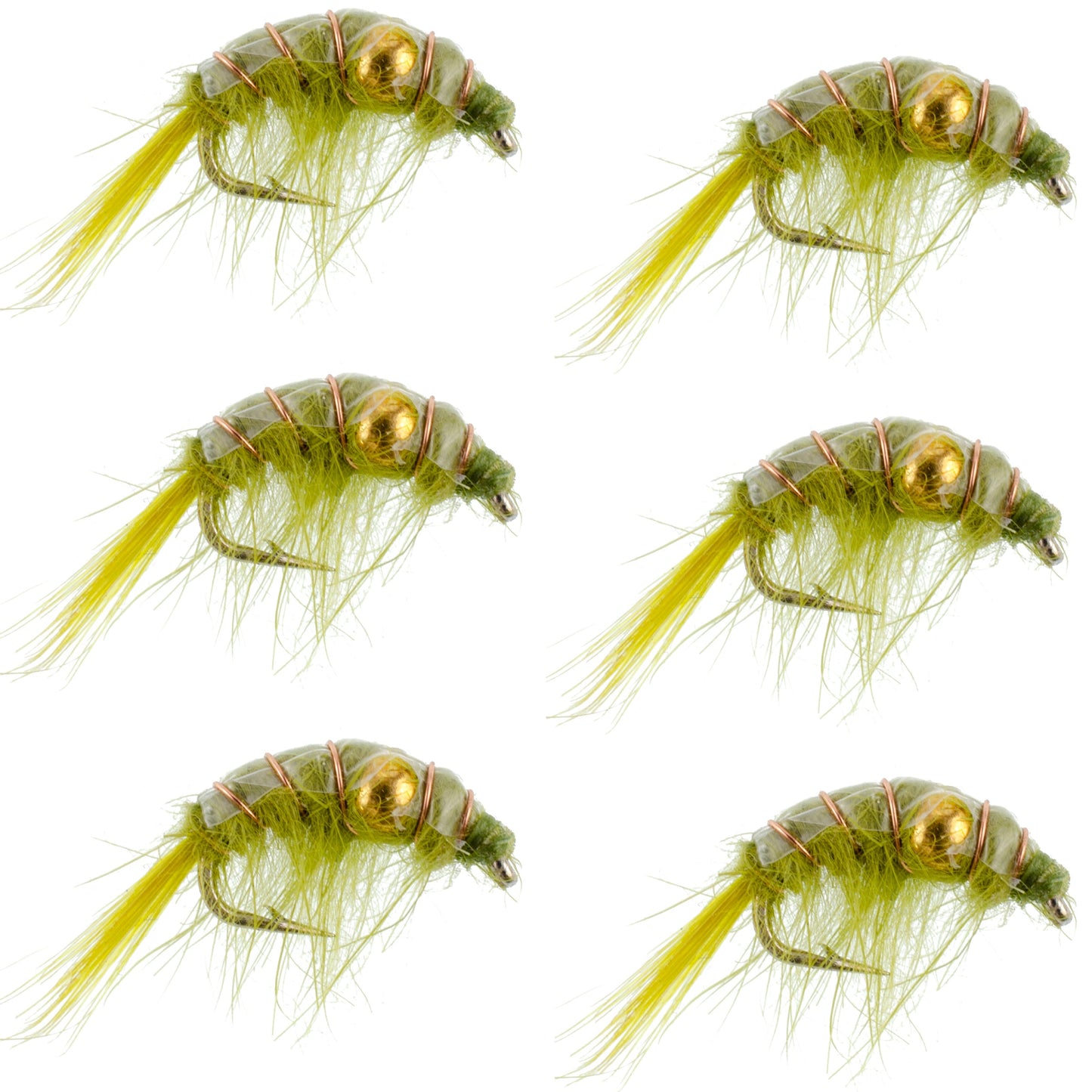 Olive Beaded Shrimp Scud Pattern - 6 Flies - Size 12 - Tailwater Lake Fly Fishing Nymph