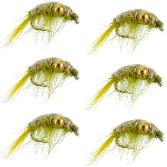 Olive Beaded Shrimp Scud Pattern - 6 Flies - Size 12 - Tailwater Lake Fly Fishing Nymph