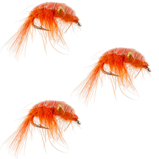 3 Pack Orange Beaded Shrimp Scud Pattern - Size 12 - Tailwater Lake Fly Fishing Nymph