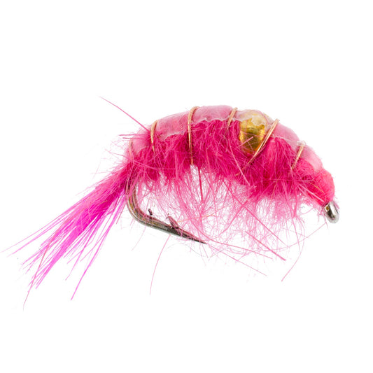 Pink Beaded Shrimp Scud Pattern - 6 Flies - Size 12 - Tailwater Lake Fly Fishing Nymph