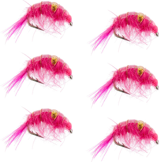 Pink Beaded Shrimp Scud Pattern - 6 Flies - Size 12 - Tailwater Lake Fly Fishing Nymph